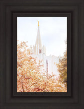 Load image into Gallery viewer, Jordan River Spring Blossoms