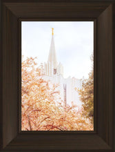 Load image into Gallery viewer, Jordan River Spring Blossoms