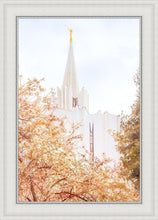 Load image into Gallery viewer, Jordan River Spring Blossoms