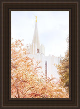 Load image into Gallery viewer, Jordan River Spring Blossoms