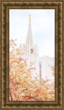 Load image into Gallery viewer, Jordan River Spring Blossoms