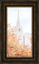 Load image into Gallery viewer, Jordan River Spring Blossoms