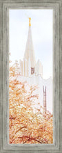 Load image into Gallery viewer, Jordan River Spring Blossoms