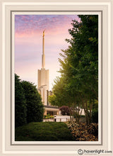 Load image into Gallery viewer, Atlanta Garden Open Edition Canvas / 20 X 30 White Frame Art