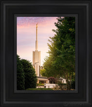 Load image into Gallery viewer, Atlanta Garden Open Edition Canvas / 8 X 10 Black Frame Art