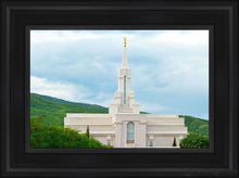 Load image into Gallery viewer, Bountiful Hillside Open Edition Canvas / 12 X 18 Black Frame Art
