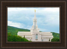 Load image into Gallery viewer, Bountiful Hillside Open Edition Canvas / 14 X 21 Brown Frame Art