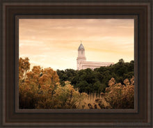 Load image into Gallery viewer, Cedar City Golden Open Edition Canvas / 11 X 14 Brown Frame Art