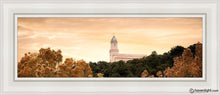 Load image into Gallery viewer, Cedar City Golden Open Edition Canvas / 8 X 24 White Frame Art