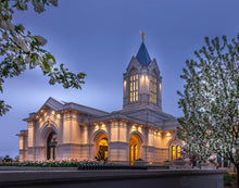 Load image into Gallery viewer, Fort Collins Dawns Bouquet Open Edition Print / 14 X 11 Only Art