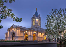 Load image into Gallery viewer, Fort Collins Dawns Bouquet Open Edition Print / 7 X 5 Only Art