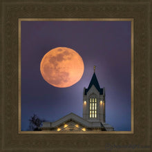 Load image into Gallery viewer, Fort Collins Night Flight Open Edition Print / 12 X Frame G 16 1/4 Art