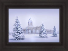 Load image into Gallery viewer, Fort Collins Protection From The Storm Open Edition Canvas / 24 X 16 Frame A 23 3/4 31 Art