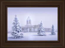 Load image into Gallery viewer, Fort Collins Protection From The Storm Open Edition Canvas / 24 X 16 Frame E 22 3/4 30 Art