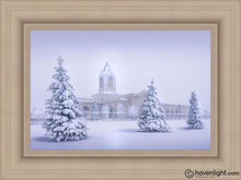 Load image into Gallery viewer, Fort Collins Protection From The Storm Open Edition Canvas / 24 X 16 Frame I 23 3/4 31 Art