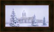 Load image into Gallery viewer, Fort Collins Protection From The Storm Open Edition Canvas / 30 X 15 Frame A 22 37 Art