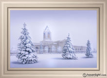 Load image into Gallery viewer, Fort Collins Protection From The Storm Open Edition Canvas / 30 X 20 Frame W 26 3/4 36 Art