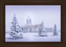 Load image into Gallery viewer, Fort Collins Protection From The Storm Open Edition Canvas / 36 X 24 Frame E 30 3/4 42 Art