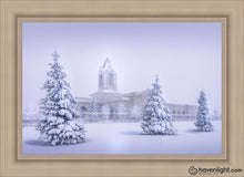 Load image into Gallery viewer, Fort Collins Protection From The Storm Open Edition Canvas / 36 X 24 Frame I 31 3/4 43 Art