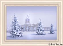 Load image into Gallery viewer, Fort Collins Protection From The Storm Open Edition Canvas / 36 X 24 Frame W 32 3/4 44 Art
