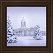 Load image into Gallery viewer, Fort Collins Protection From The Storm Open Edition Print / 12 X Frame C 16 1/4 Art