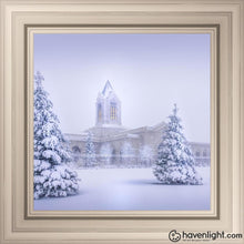 Load image into Gallery viewer, Fort Collins Protection From The Storm Open Edition Print / 12 X Frame R 16 1/4 Art