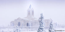 Load image into Gallery viewer, Fort Collins Shelter From The Storm Open Edition Canvas / 15 X 30 Print Only Art
