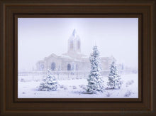 Load image into Gallery viewer, Fort Collins Shelter From The Storm Open Edition Canvas / 16 X 24 Frame E 30 3/4 22 Art