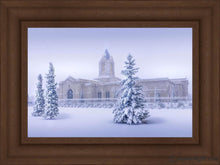 Load image into Gallery viewer, Fort Collins Storm Shelter Open Edition Canvas / 24 X 16 Frame B 23 3/4 31 Art