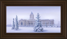 Load image into Gallery viewer, Fort Collins Storm Shelter Open Edition Canvas / 30 X 15 Frame E 21 3/4 36 Art