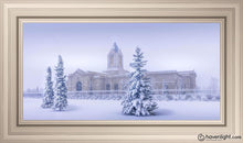Load image into Gallery viewer, Fort Collins Storm Shelter Open Edition Canvas / 30 X 15 Frame W 21 3/4 36 Art