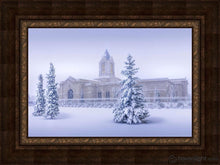 Load image into Gallery viewer, Fort Collins Storm Shelter Open Edition Canvas / 30 X 20 Frame A 40 Art