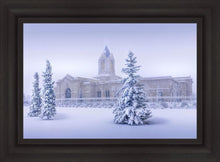 Load image into Gallery viewer, Fort Collins Storm Shelter Open Edition Canvas / 30 X 20 Frame B 27 3/4 37 Art