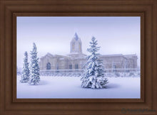 Load image into Gallery viewer, Fort Collins Storm Shelter Open Edition Canvas / 30 X 20 Frame C 27 3/4 37 Art