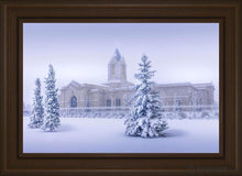 Load image into Gallery viewer, Fort Collins Storm Shelter Open Edition Canvas / 30 X 20 Frame E 26 3/4 36 Art