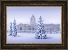 Load image into Gallery viewer, Fort Collins Storm Shelter Open Edition Canvas / 36 X 24 Frame G 32 3/4 44 Art