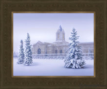 Load image into Gallery viewer, Fort Collins Storm Shelter Open Edition Print / 14 X 11 Frame G 15 1/4 18 Art