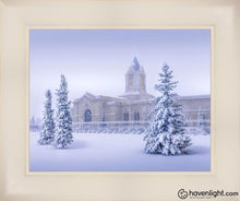 Load image into Gallery viewer, Fort Collins Storm Shelter Open Edition Print / 14 X 11 Frame L 15 1/4 18 Art