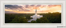 Load image into Gallery viewer, Houston From On High Open Edition Canvas / 12 X 36 White Frame Art