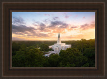 Load image into Gallery viewer, Houston From On High Open Edition Canvas / 14 X 21 Brown Frame Art