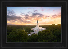 Load image into Gallery viewer, Houston From On High Open Edition Canvas / 24 X 36 Black Frame Art