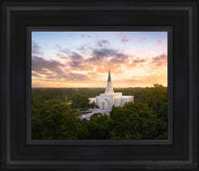Load image into Gallery viewer, Houston From On High Open Edition Canvas / 8 X 10 Black Frame Art