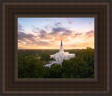 Load image into Gallery viewer, Houston From On High Open Edition Canvas / 8 X 10 Brown Frame Art