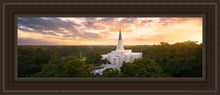 Load image into Gallery viewer, Houston From On High Open Edition Canvas / 8 X 24 Brown Frame Art