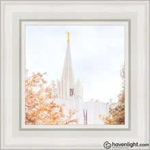 Load image into Gallery viewer, Jordan River Spring Blossoms Open Edition Canvas / 12 X White Frame Art