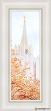 Load image into Gallery viewer, Jordan River Spring Blossoms Open Edition Canvas / 6 X 18 White Frame Art