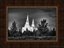 Load image into Gallery viewer, Kansas City Sentinel On The Plains Open Edition Canvas / 30 X 20 Frame A 40 Art