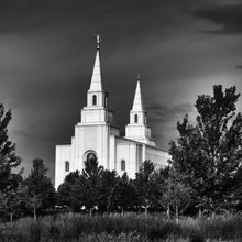 Load image into Gallery viewer, Kansas City Sentinel On The Plains Open Edition Print / 12 X Only Art
