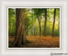 Load image into Gallery viewer, Oh How Lovely Was The Morning Open Edition Canvas / 11 X 14 White Frame Art