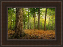 Load image into Gallery viewer, Oh How Lovely Was The Morning Open Edition Canvas / 12 X 18 Brown Frame Art